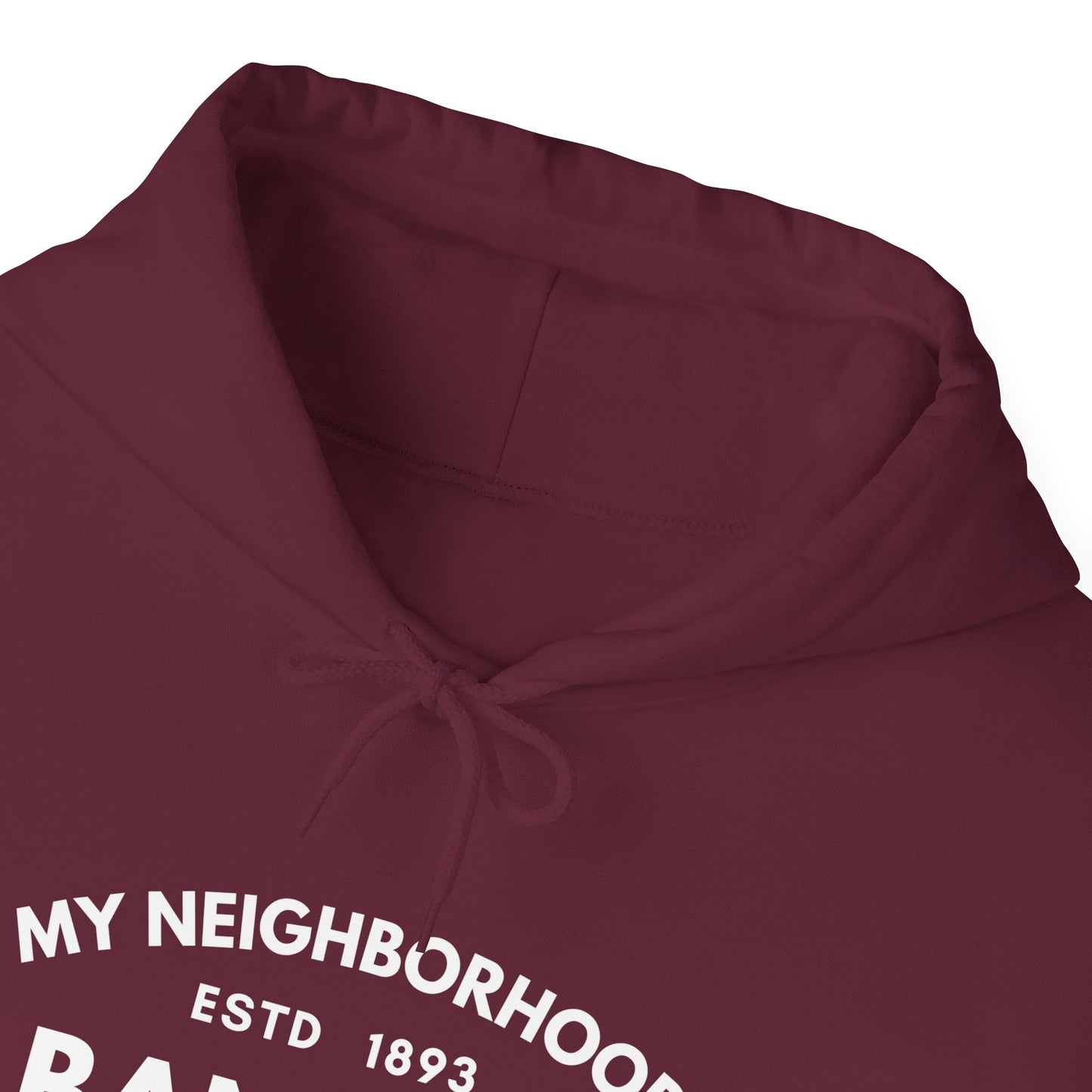 Albany Park - Chicago - Unisex Heavy Blend Hooded Sweatshirt