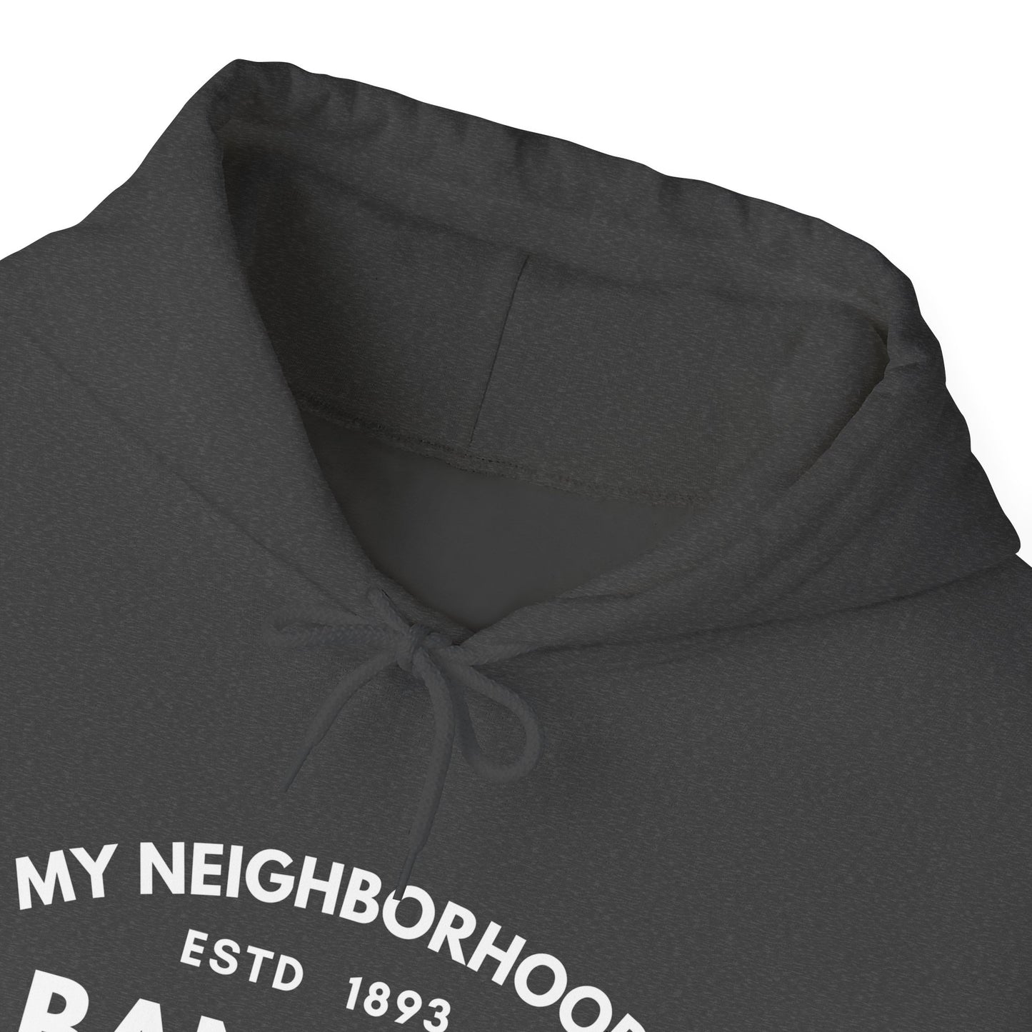 Albany Park - Chicago - Unisex Heavy Blend Hooded Sweatshirt
