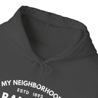 Albany Park - Chicago - Unisex Heavy Blend Hooded Sweatshirt
