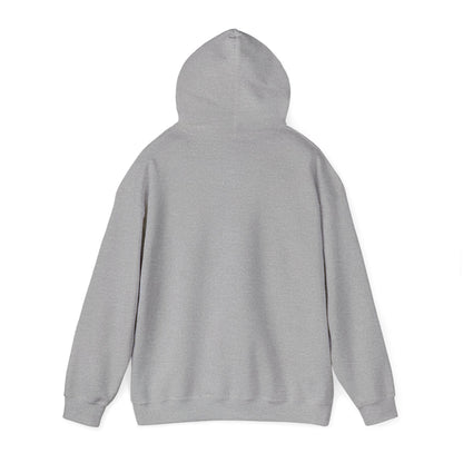 Brighton Park - Chicago - Unisex Heavy Blend Hooded Sweatshirt