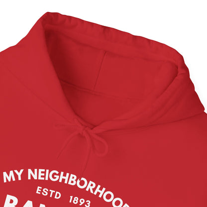 Albany Park - Chicago - Unisex Heavy Blend Hooded Sweatshirt