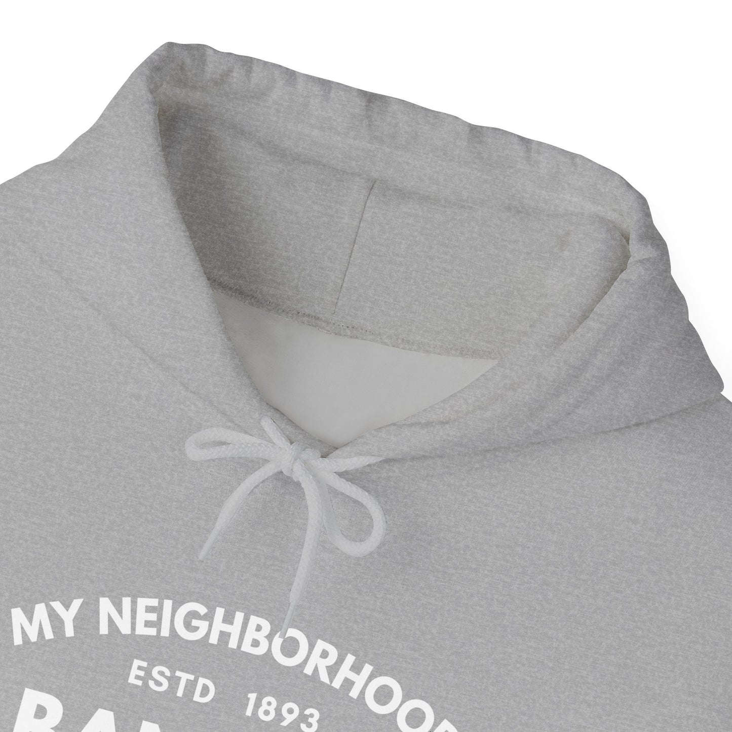 Albany Park - Chicago - Unisex Heavy Blend Hooded Sweatshirt