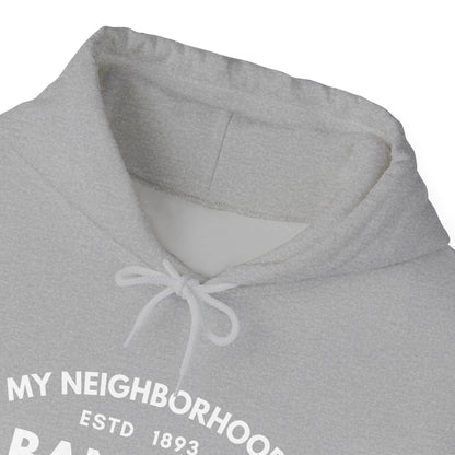 Albany Park - Chicago - Unisex Heavy Blend Hooded Sweatshirt