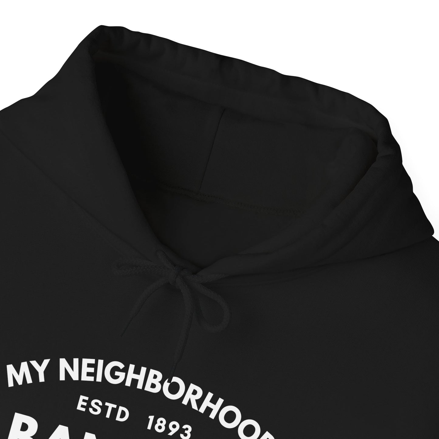 Albany Park - Chicago - Unisex Heavy Blend Hooded Sweatshirt