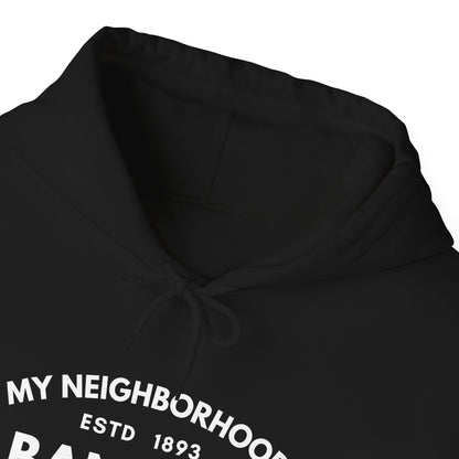Albany Park - Chicago - Unisex Heavy Blend Hooded Sweatshirt