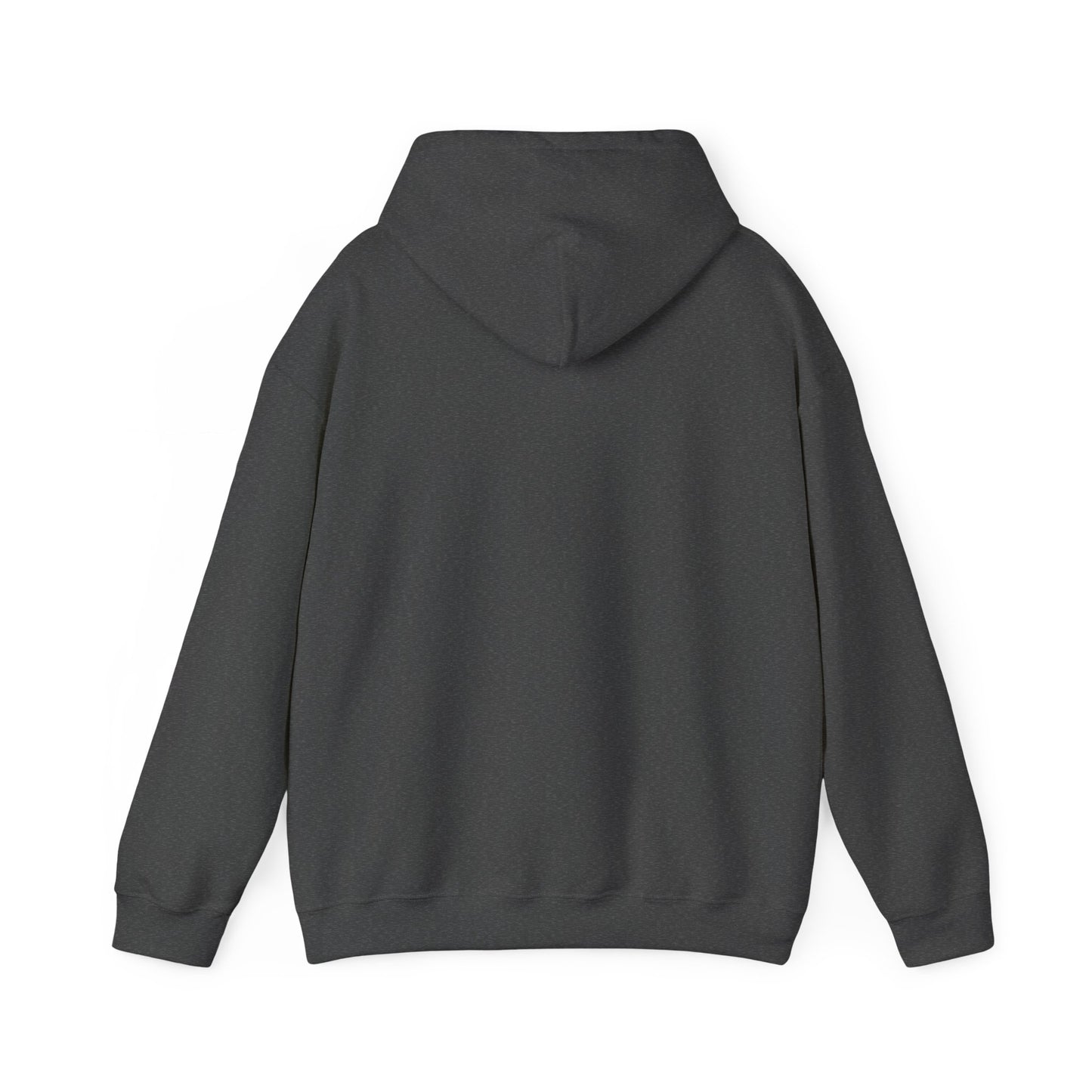 Albany Park - Chicago - Unisex Heavy Blend Hooded Sweatshirt