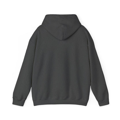 Albany Park - Chicago - Unisex Heavy Blend Hooded Sweatshirt