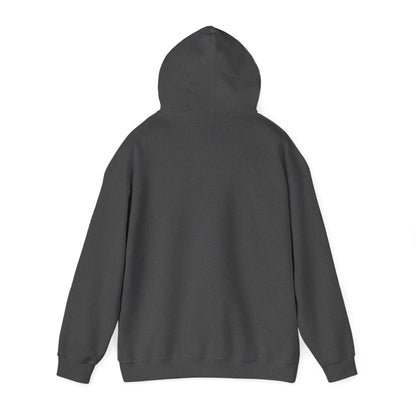 Brighton Park - Chicago - Unisex Heavy Blend Hooded Sweatshirt