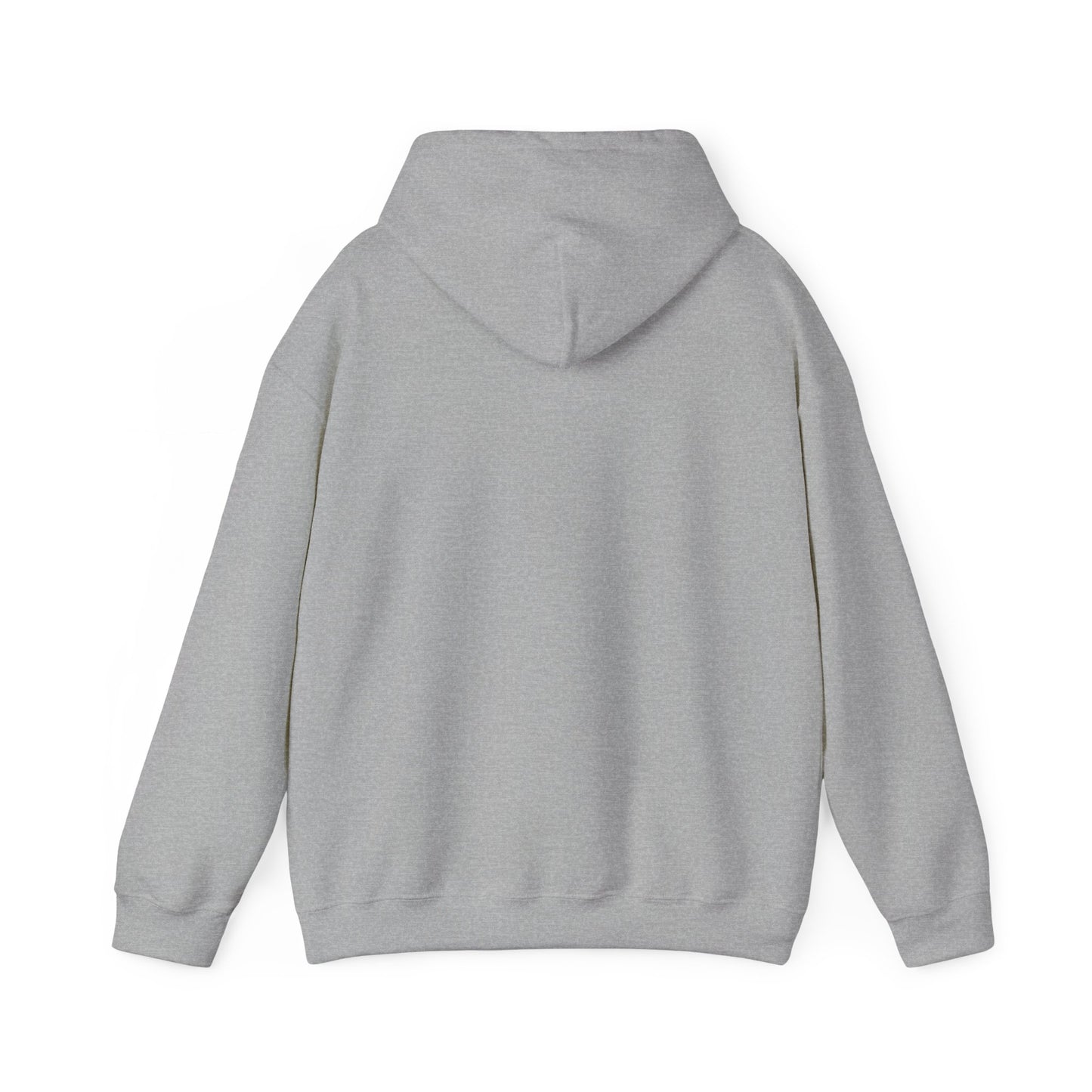 Albany Park - Chicago - Unisex Heavy Blend Hooded Sweatshirt