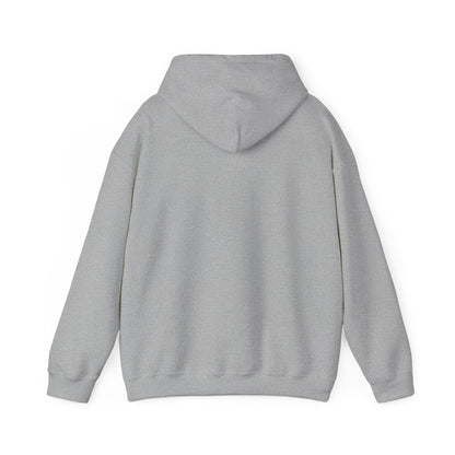 Albany Park - Chicago - Unisex Heavy Blend Hooded Sweatshirt
