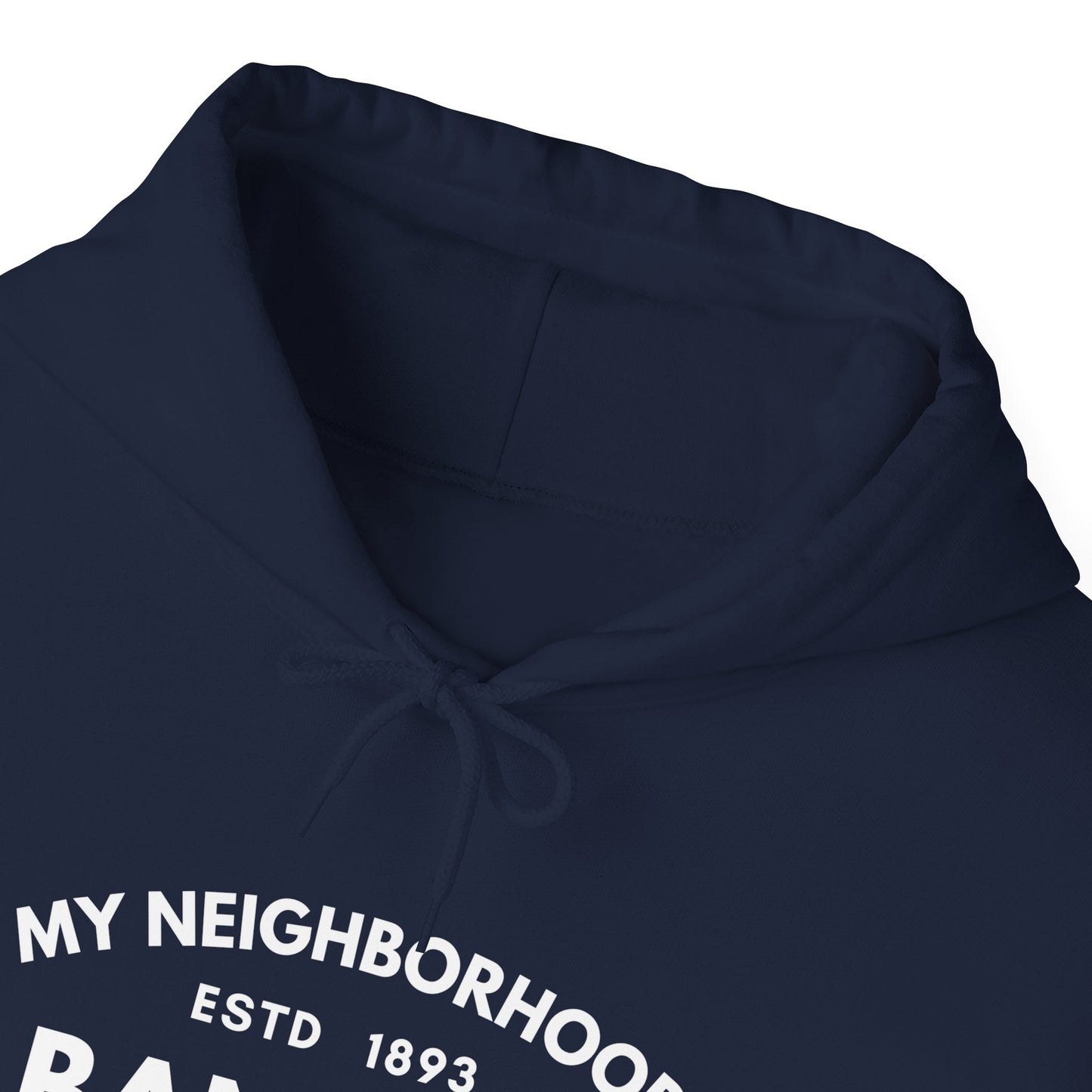Albany Park - Chicago - Unisex Heavy Blend Hooded Sweatshirt