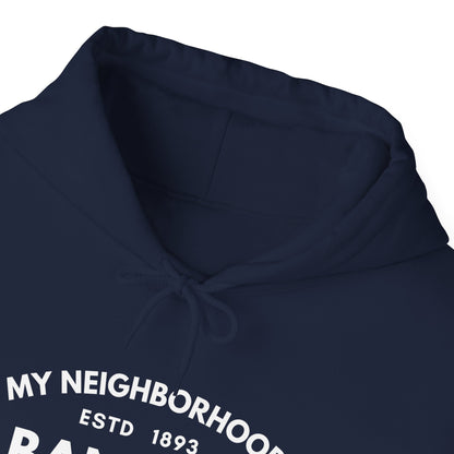 Albany Park - Chicago - Unisex Heavy Blend Hooded Sweatshirt