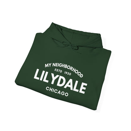 Lilydale - Chicago - Unisex Heavy Blend Hooded Sweatshirt