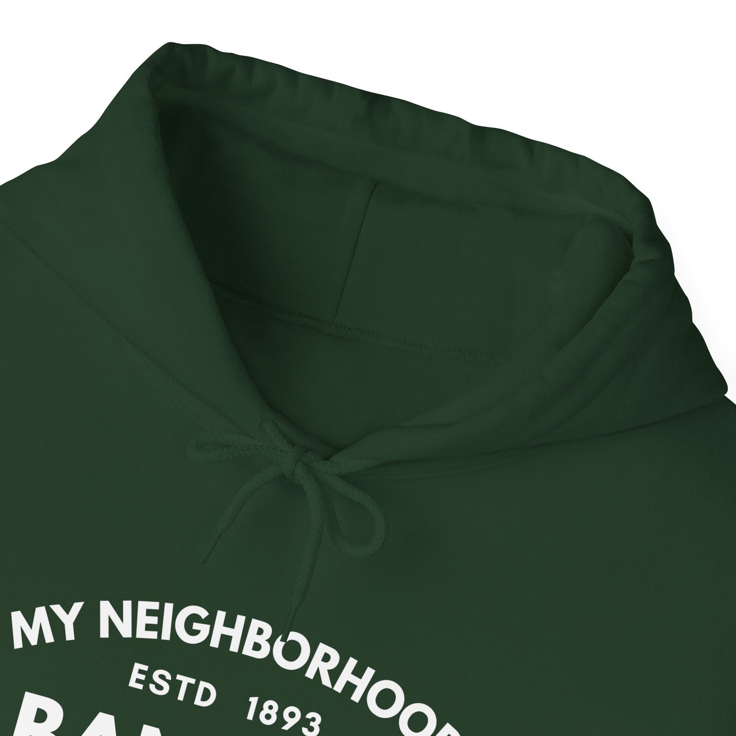 Albany Park - Chicago - Unisex Heavy Blend Hooded Sweatshirt