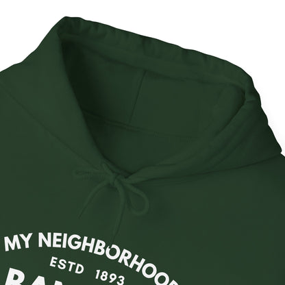 Albany Park - Chicago - Unisex Heavy Blend Hooded Sweatshirt